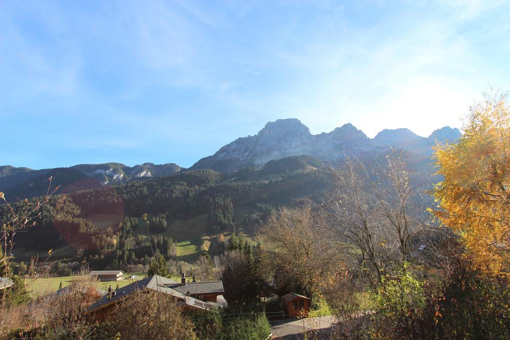 Les Jumelles Villa Gstaad Ruang foto